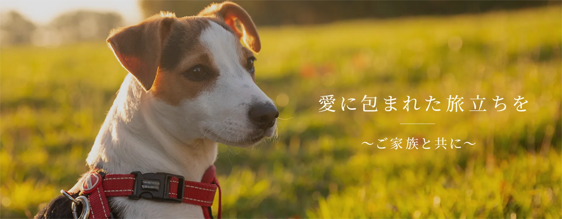 愛に包まれた旅立ちを 〜ご家族と共に〜